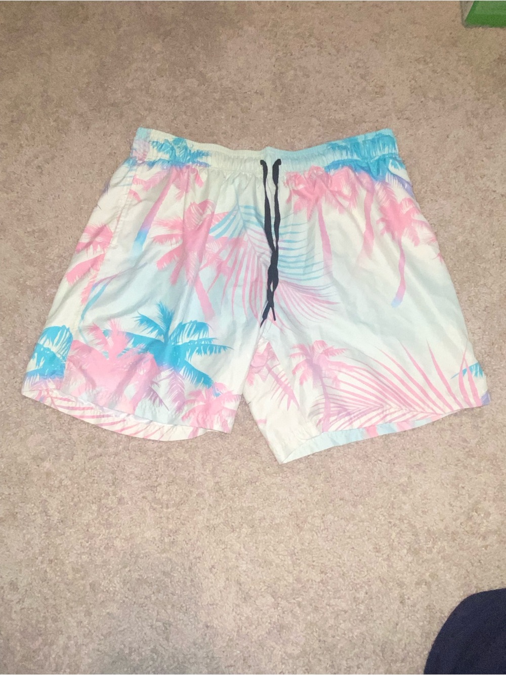 Men's Pastel Swim Trunks